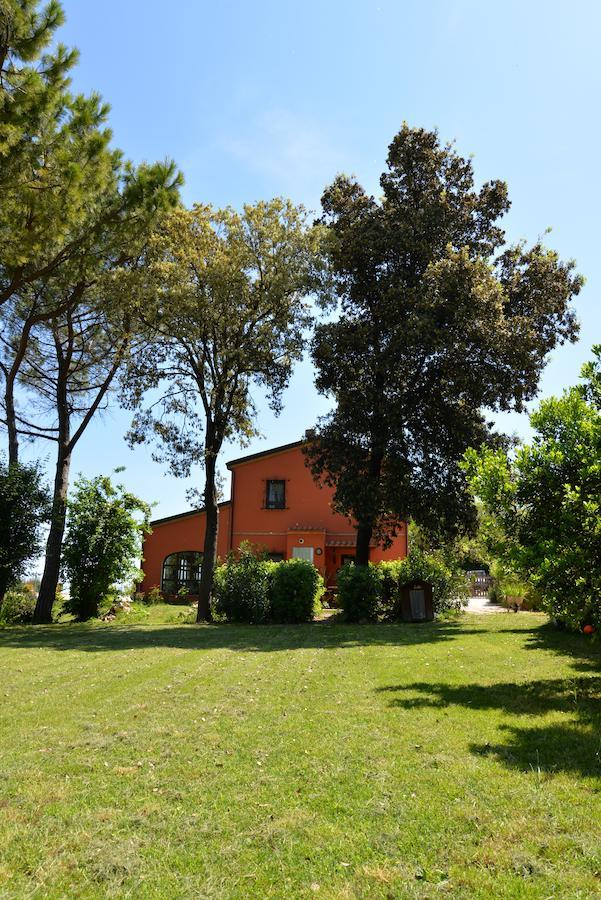 Offagna B&B Punto Magico מראה חיצוני תמונה